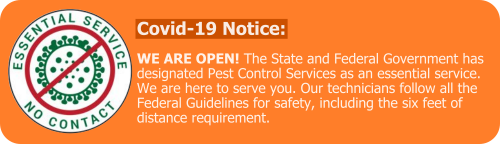 Rodent Control Active Termite And Pest Control Inc